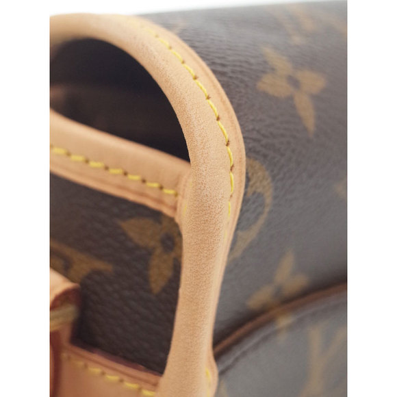 Louis Vuitton Shoulder Sologne Monogram Bag - Picture 4 of 5